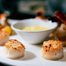 Scallops Scallops