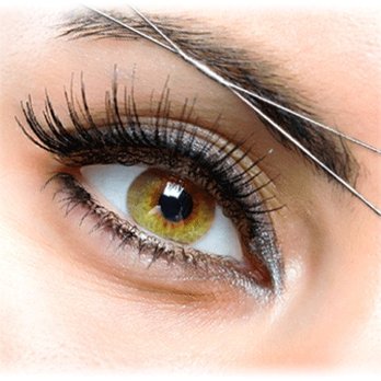 Neelu's Threading Studio - Eyebrow Services Near Me Neelu's Threading Studio - Eyebrow Services Near Me
