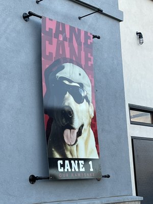 Raising Cane's Chicken Fingers by null