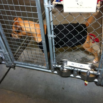Placer SPCA - Animal Shelters Near Me - Roseville, California Placer SPCA - Animal Shelters Near Me - Roseville, California