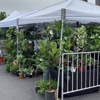 Rose Bowl Flea Market - Plant store at entrance - Flea Markets Near Me - Pasadena, California Rose Bowl Flea Market - Plant store at entrance - Flea Markets Near Me - Pasadena, California