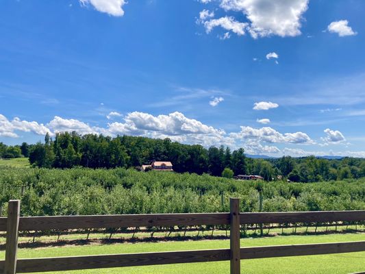 Justus Orchard by null