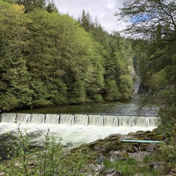 Capilano Salmon Hatchery - Parks Near Me - North Vancouver, British Columbia Capilano Salmon Hatchery - Parks Near Me - North Vancouver, British Columbia