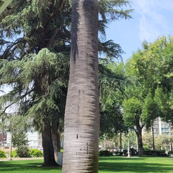 White Park - Parks Near Me - Riverside, California