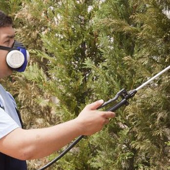 Scientific Pest Management - Pest Control Near Me - Saint James, New York Scientific Pest Management - Pest Control Near Me - Saint James, New York
