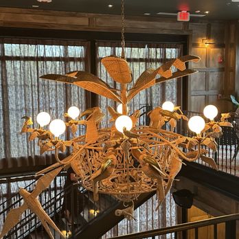 Harlow Grove - Beautiful chandelier. - Breakfast & Brunch Near Me - Winter Garden, Florida Harlow Grove - Beautiful chandelier. - Breakfast & Brunch Near Me - Winter Garden, Florida