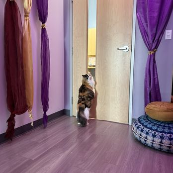 Honnas Veterinary - Exam room - Veterinarians Near Me - Austin, Texas
