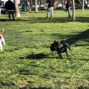 La Palma Dog Park - Dog Parks Near Me - Anaheim, California La Palma Dog Park - Dog Parks Near Me - Anaheim, California