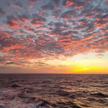 Havana Fleet - Luxury Yacht Charters Key West, Florida - Amazing Sunsets - Boat Charters Near Me - Key West, Florida Havana Fleet - Luxury Yacht Charters Key West, Florida - Amazing Sunsets - Boat Charters Near Me - Key West, Florida