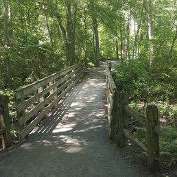 Bridge! Bridge!