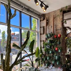 Seed To Stem - Pretty interior design
