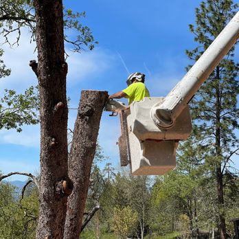 L&J Tree Service - Tree removal - Tree Services Near Me - Central Point, Oregon L&J Tree Service - Tree removal - Tree Services Near Me - Central Point, Oregon