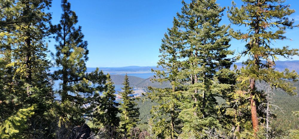 Spence Mountain Trailhead Logo