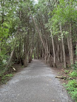 Green Lakes State Park by null
