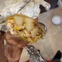 Photo of Taqueria Los Magueyes
