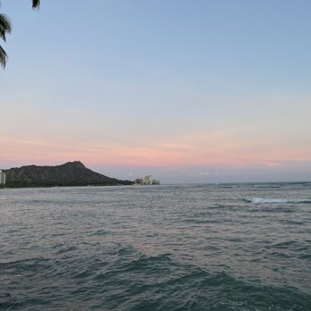 Monkeypod Kitchen - View from restaurant - Tacos Near Me - Honolulu, Hawaii Monkeypod Kitchen - View from restaurant - Tacos Near Me - Honolulu, Hawaii