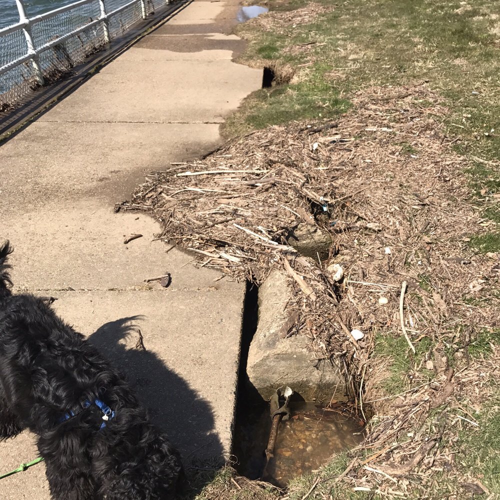East Potomac Park - More gaping holes next to & beneath sidewalk - Parks Near Me - Washington, DC, District of Columbia East Potomac Park - More gaping holes next to & beneath sidewalk - Parks Near Me - Washington, DC, District of Columbia