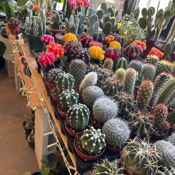 Plant Shoppe - Nurseries & Gardening Near Me - San Antonio, Texas Plant Shoppe - Nurseries & Gardening Near Me - San Antonio, Texas