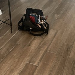 Forney Pet Sitter - Mr Jenkins