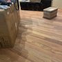 M&J House Cleaner Services
