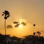 Photo of Clewiston Sugar Festival