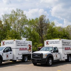 Timber Beast Tree Service