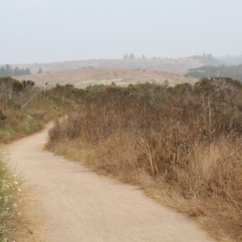 Wilder Ranch State Park - Old Cove Trail - Parks Near Me - Santa Cruz, California Wilder Ranch State Park - Old Cove Trail - Parks Near Me - Santa Cruz, California
