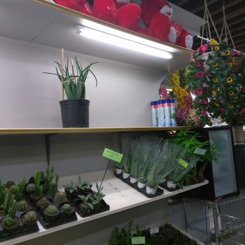 Daniela's Flower Shop II - You can get some teddies - Florists Near Me - New York, New York