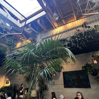 Arcana - Inside - Nurseries & Gardening Near Me - San Francisco, California
