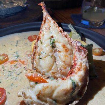 Boquinete - Seafood Near Me - Puerto Morelos, ROO Boquinete - Seafood Near Me - Puerto Morelos, ROO