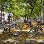 Photo of Bicimetrobike