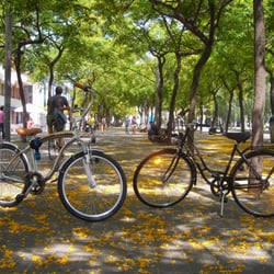 Bicimetrobike - Bike rental Barcelona
