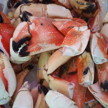 Tidewater Seafood - Tasty Johah Crab Claws - Seafood Markets Near Me - Norfolk, Virginia Tidewater Seafood - Tasty Johah Crab Claws - Seafood Markets Near Me - Norfolk, Virginia