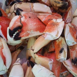 Tasty Johah Crab Claws