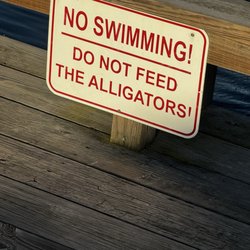 Coastal Georgia RV Resort - DON'T feed Gators anywhere. They are delicious though.