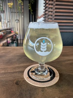 Pure Project Balboa Park by null