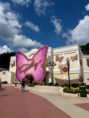 Dollywood's Splash Country by null
