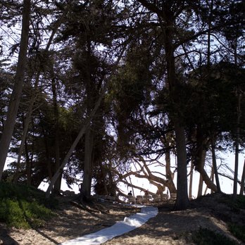 Pismo State Beach - PSB grove-view from the boardwalk-01 - Beaches Near Me - Oceano, California