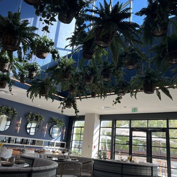 Hilton San Jose - Hotels Near Me - San Jose, California