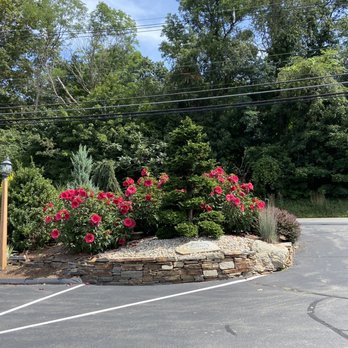 The Garden Barn Nursery - HUGE Perennial Hibiscus shrubs - Nurseries & Gardening Near Me - Vernon, Connecticut The Garden Barn Nursery - HUGE Perennial Hibiscus shrubs - Nurseries & Gardening Near Me - Vernon, Connecticut
