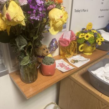 Sharp Grossmont Hospital - Some of the flowers in my sister's room. - Hospitals Near Me - La Mesa, California Sharp Grossmont Hospital - Some of the flowers in my sister's room. - Hospitals Near Me - La Mesa, California