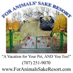 For Animals Sake Resort - For Animals' Sake Resort "A Vacation for Your Pet, AND You Too!"