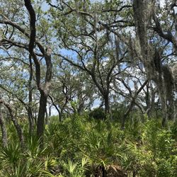 Double Branch Nature Preserve