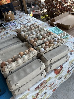 Hobe Sound Farmers Market by null