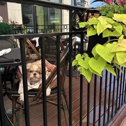 Outside Outside