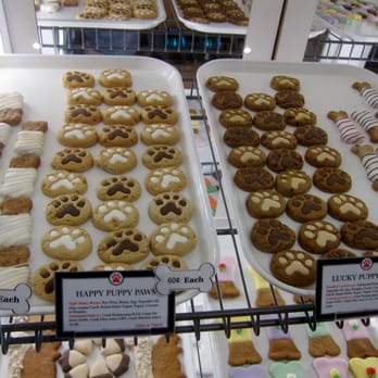 Just Dogs - Mmmmm, cookies! - Pet Stores Near Me - Newburyport, Massachusetts