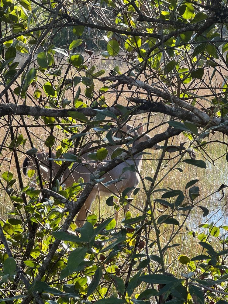 Apoxee Wilderness Trail Image