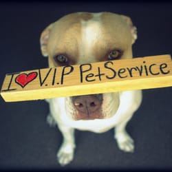 Vip Pet Service