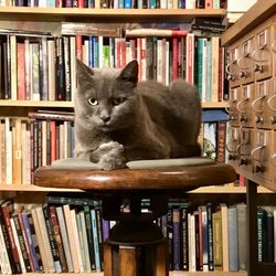 Rust Belt Books