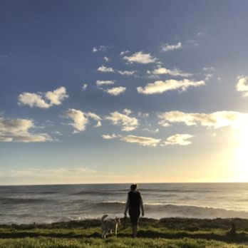 Fiscalini Ranch Preserve - Expansive view - Beaches Near Me - Cambria, California